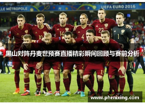 黑山对阵丹麦世预赛直播精彩瞬间回顾与赛前分析